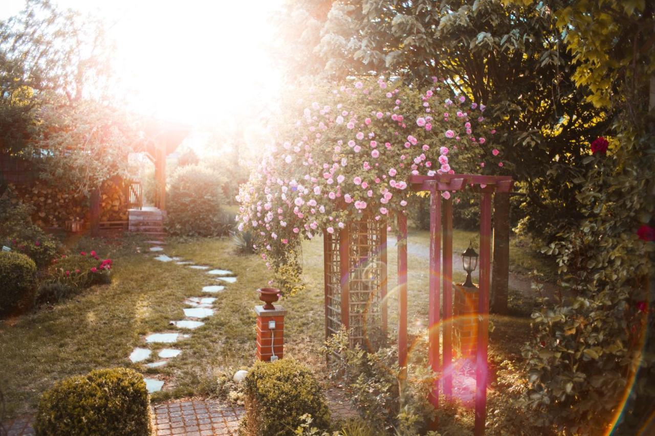 Bed & Breakfast Unter Den Linden Hungen Buitenkant foto