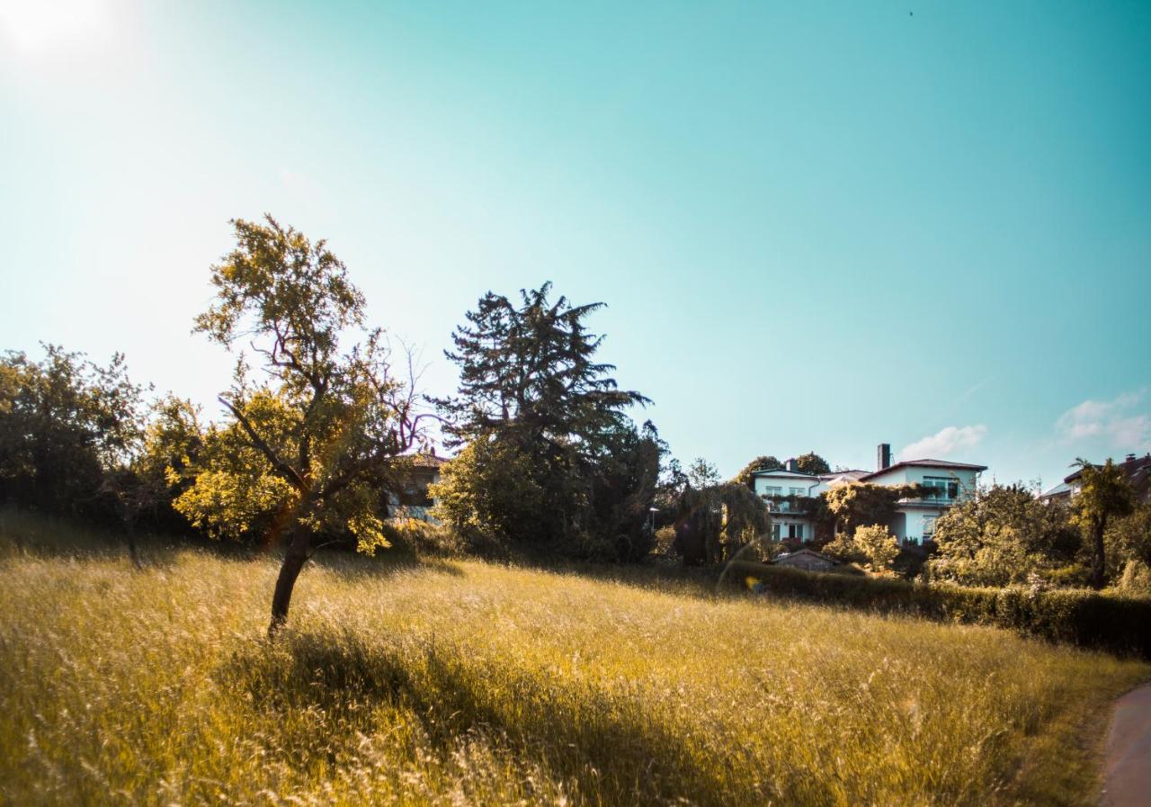 Bed & Breakfast Unter Den Linden Hungen Buitenkant foto